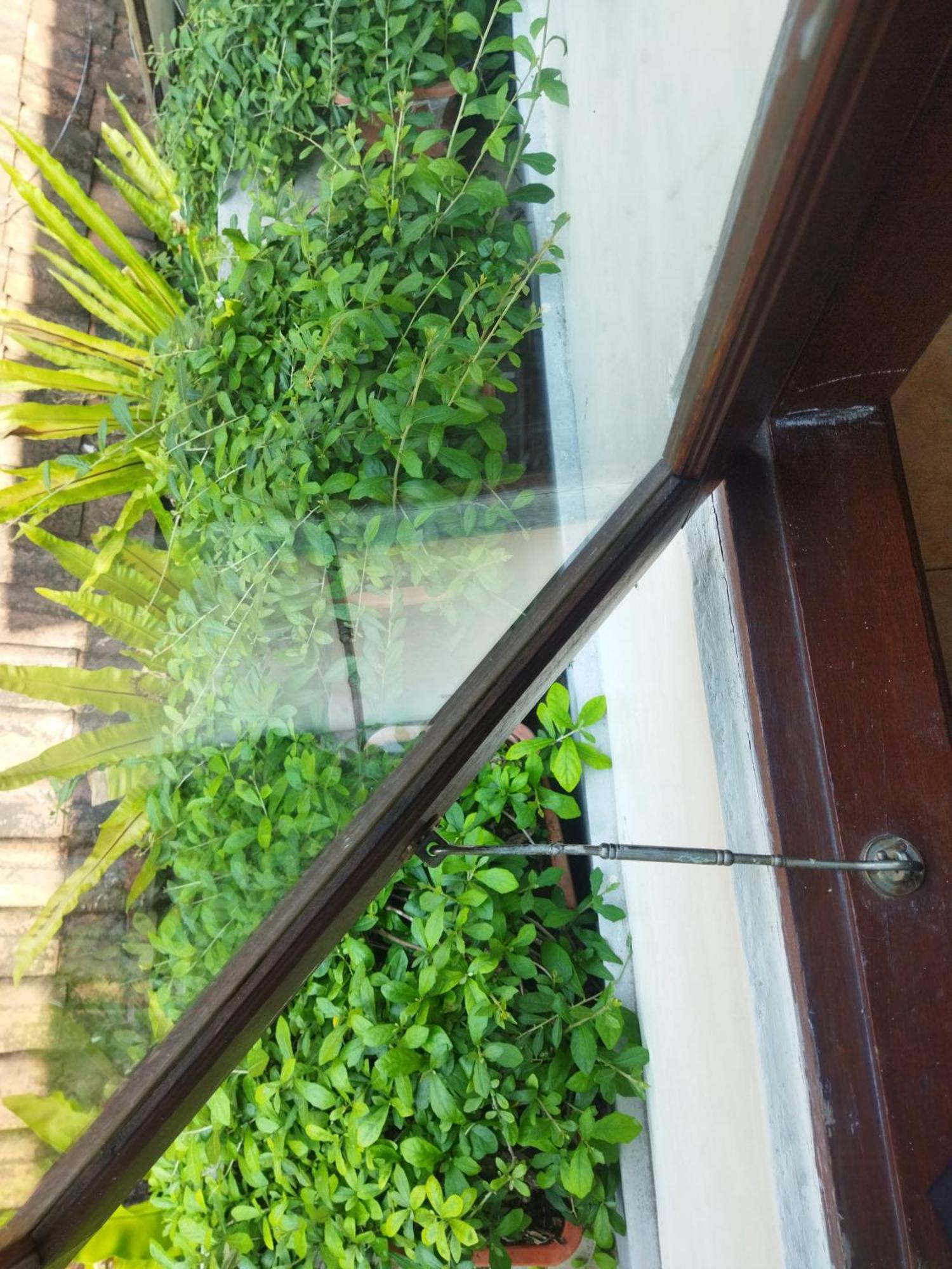 Wahwik'S House Hotel Ubud Exterior foto