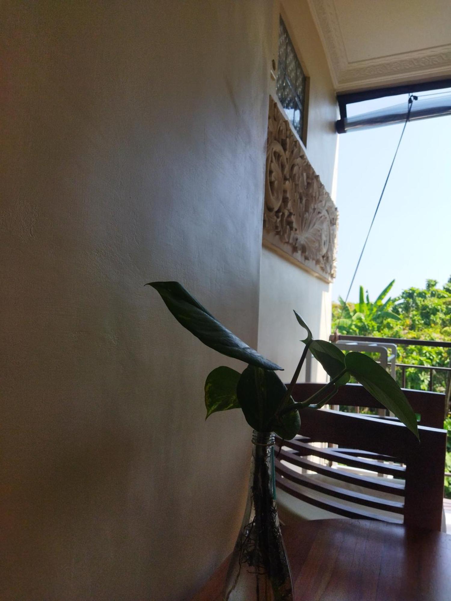 Wahwik'S House Hotel Ubud Exterior foto
