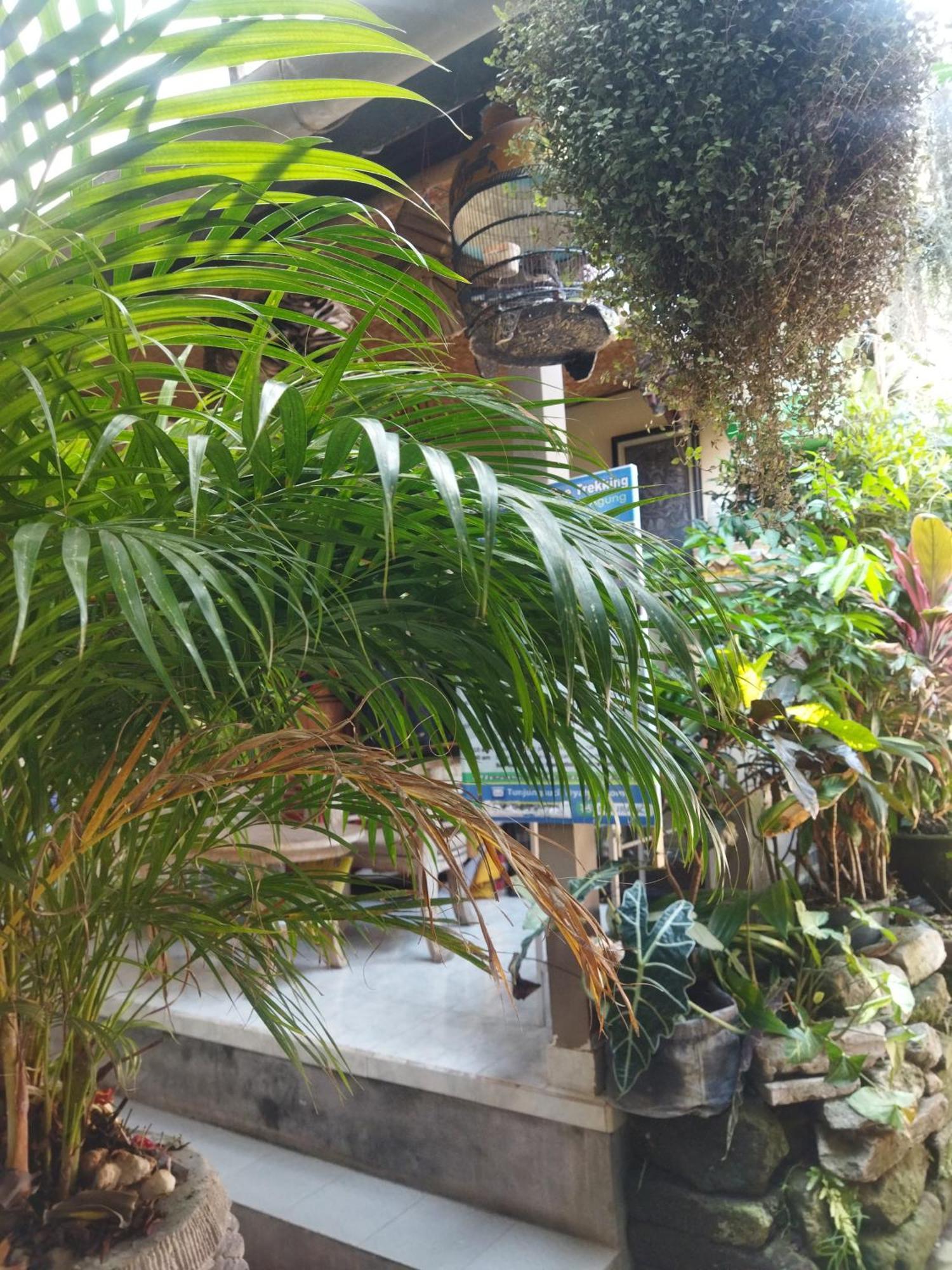Wahwik'S House Hotel Ubud Exterior foto