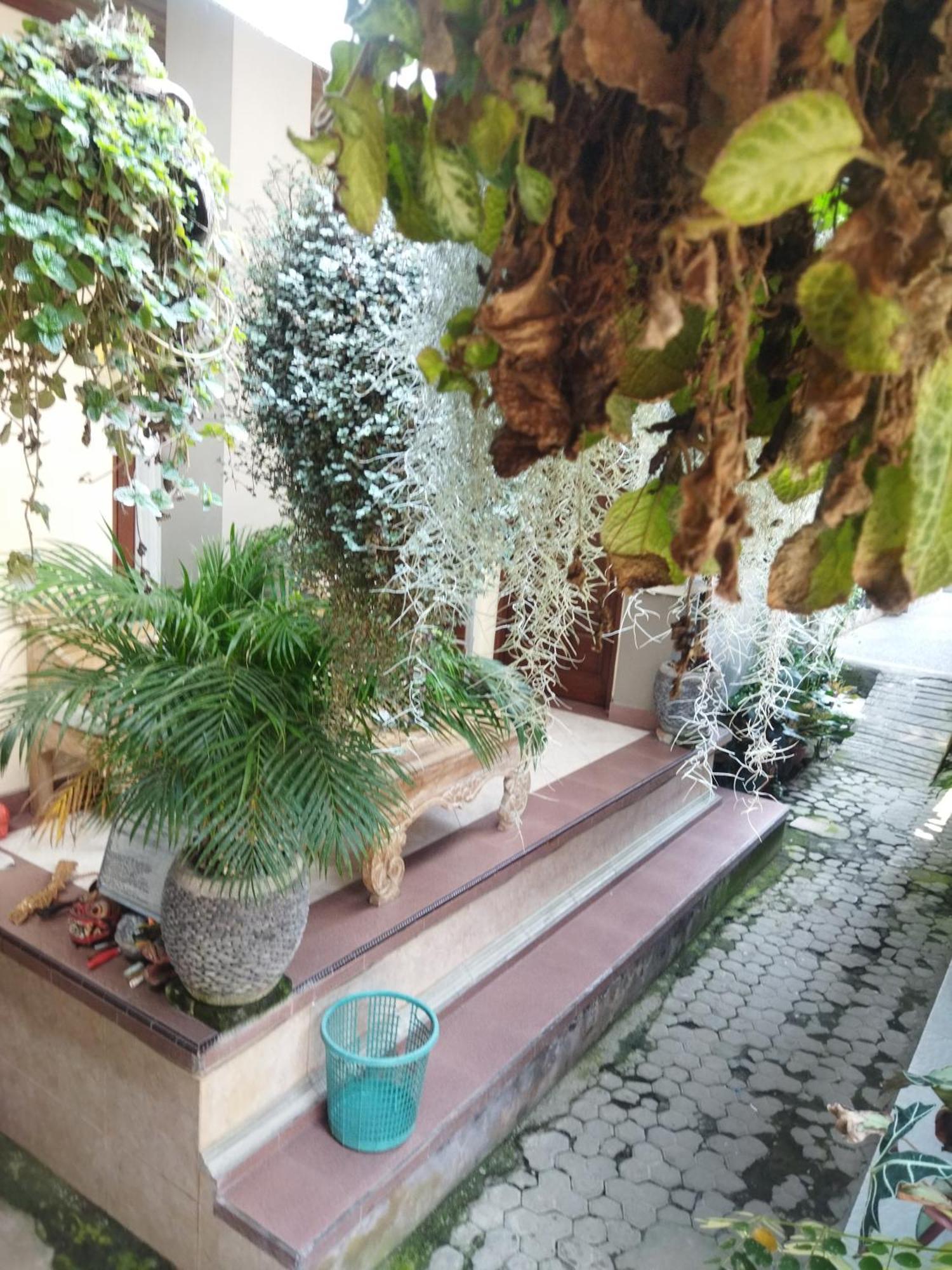 Wahwik'S House Hotel Ubud Exterior foto
