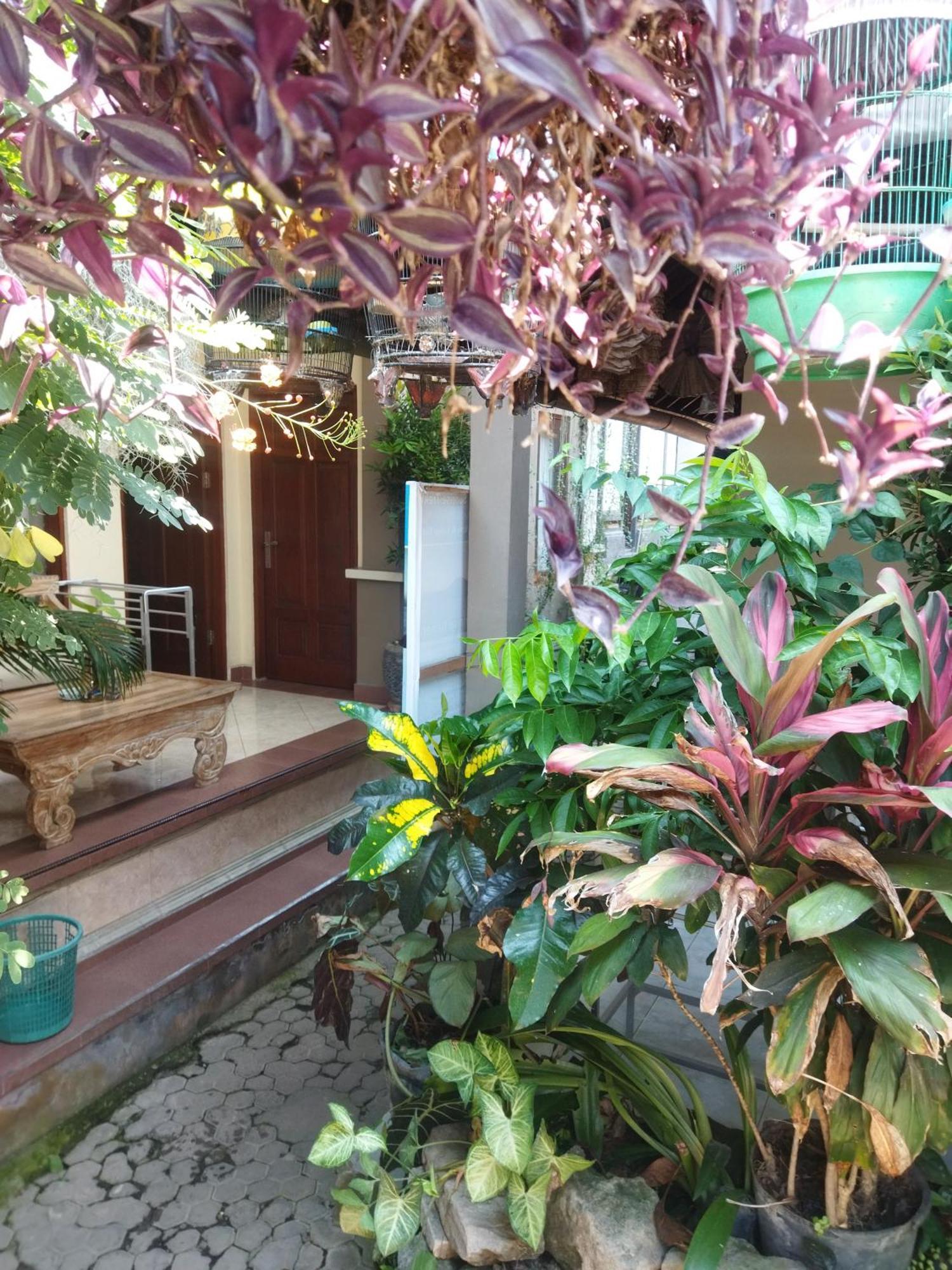 Wahwik'S House Hotel Ubud Exterior foto